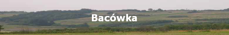 Bacwka