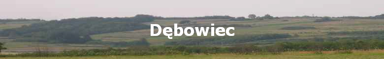 D?bowiec