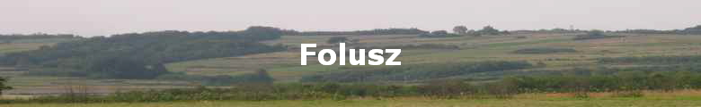 Folusz