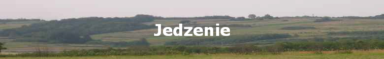 Jedzenie