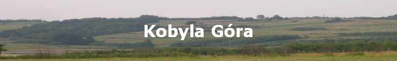 Kobyla Gra