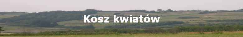 Kosz kwiatw