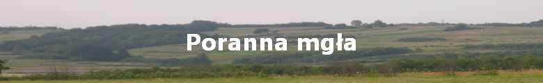 Poranna mg?a