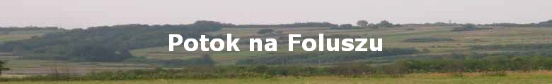 Potok na Foluszu
