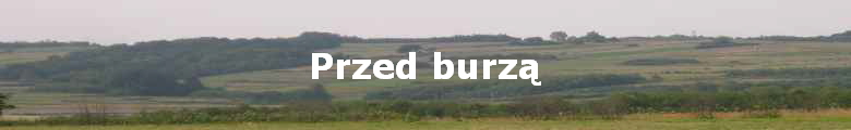 Przed burz?