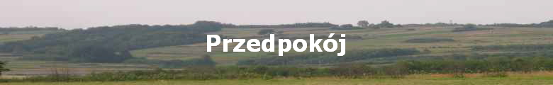 Przedpokj