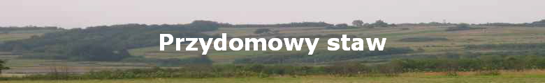 Przydomowy staw