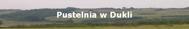 Pustelnia w Dukli
