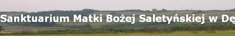 Sanktuarium Matki Bo?ej Salety?skiej w D?bowcu