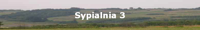 Sypialnia 3