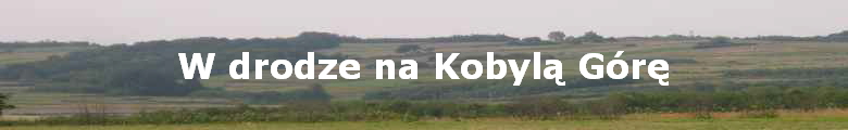 W drodze na Kobyl? Gr?