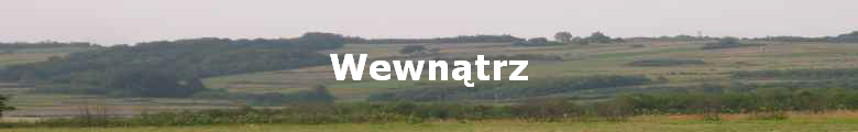 Wewn?trz