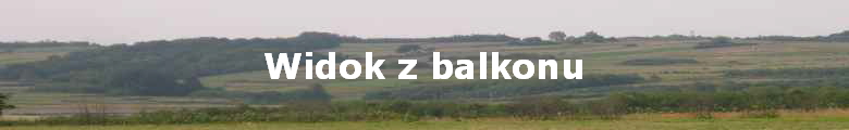 Widok z balkonu