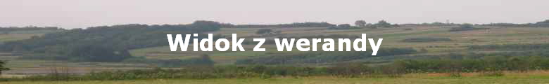 Widok z werandy