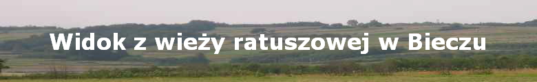 Widok z wie?y ratuszowej w Bieczu