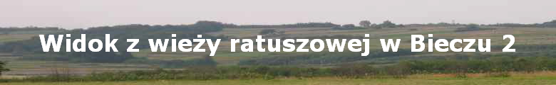 Widok z wie?y ratuszowej w Bieczu 2