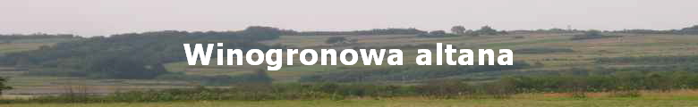 Winogronowa altana