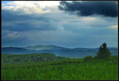 Przed burza